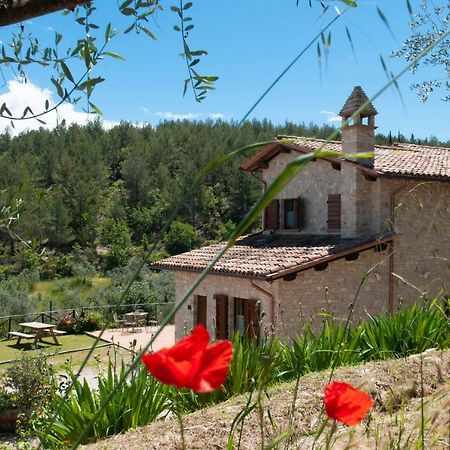 Agriturismo Molino Verde Montecchio  المظهر الخارجي الصورة