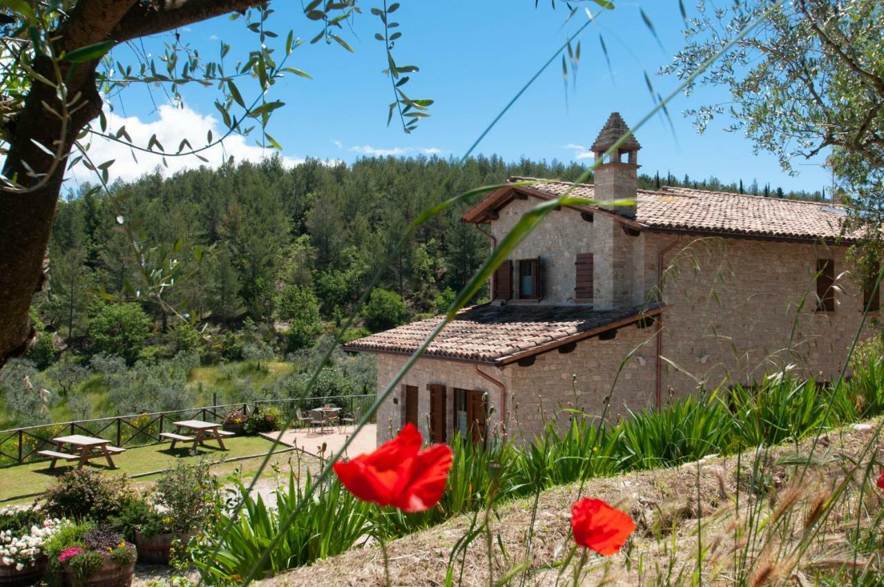 Agriturismo Molino Verde Montecchio  المظهر الخارجي الصورة
