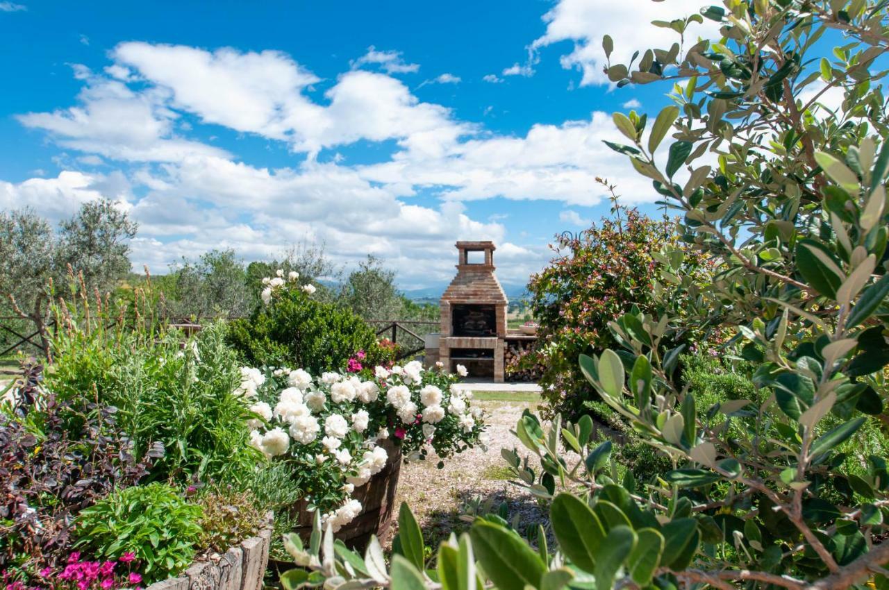 Agriturismo Molino Verde Montecchio  المظهر الخارجي الصورة