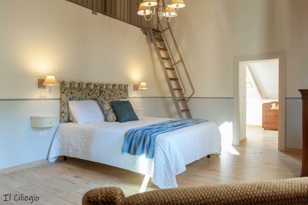 Agriturismo Molino Verde Montecchio  المظهر الخارجي الصورة