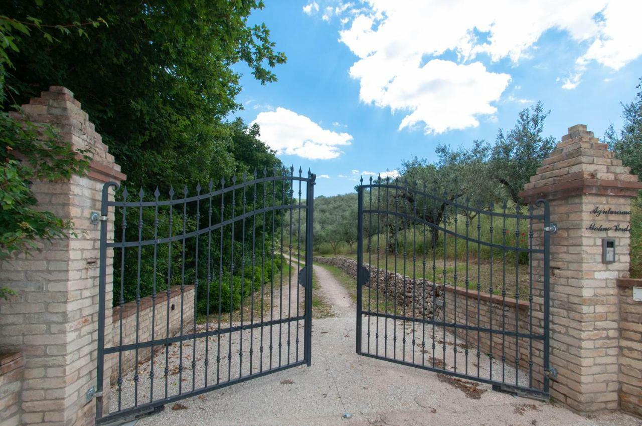 Agriturismo Molino Verde Montecchio  المظهر الخارجي الصورة